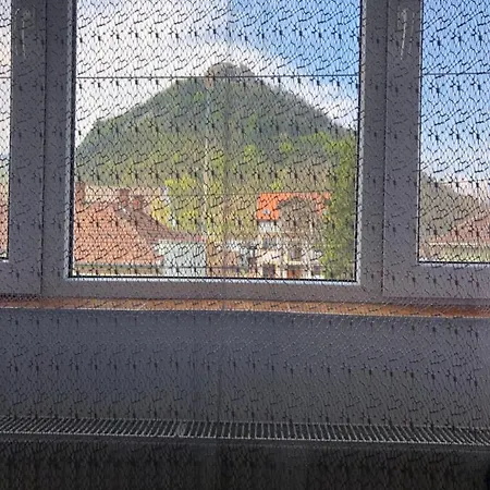 Apartament Basak 2 *