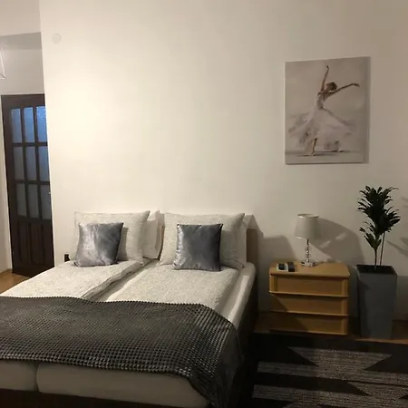 Apartment Apartament Basak 2 *